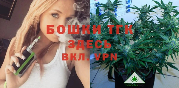 индика Абдулино