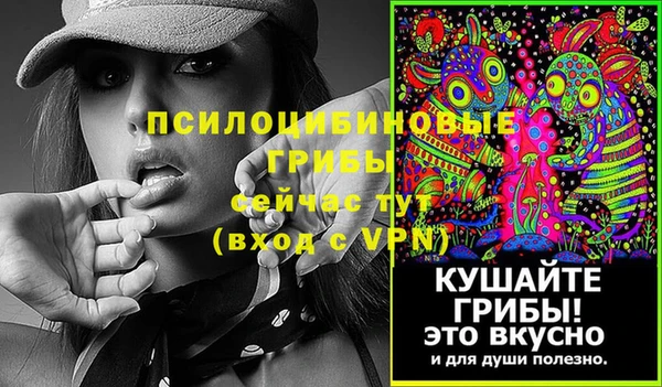 индика Абдулино