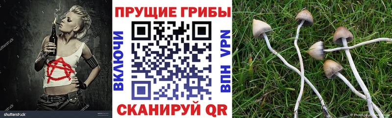 это как зайти  Шахунья  Псилоцибиновые грибы прущие грибы 